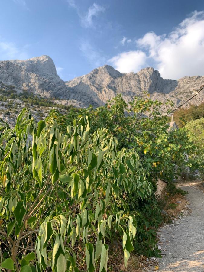 Villa Kristina - Ferienhaus Baska Voda - Topici, Private Outdoor Swimmingpool, Wifi Εξωτερικό φωτογραφία